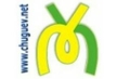 chuguevskie-kompyuternie-seti-logo